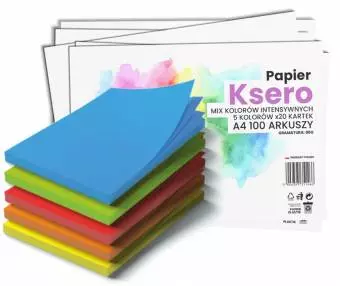 Papier ksero Wektor A4 100 arkuszy, 5 kolorów intensywnych