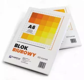 Blok biurowy Wektor A6 100 kartek w kratkę
