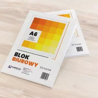 Blok biurowy Wektor A6 100 kartek w kratkę