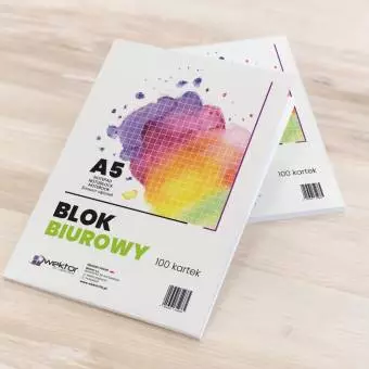 Blok biurowy Wektor A5 100 kartek w kratkę