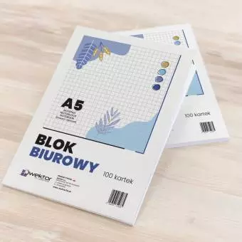 Blok biurowy Wektor A5 100 kartek w kratkę