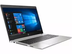 Notebook HP ProBook 450 G7 i5-10210U 256/8G/W10P/15,6