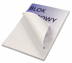 Blok biurowy rysunkowy biały A4 niebieska kratka 100 kartek, klejony